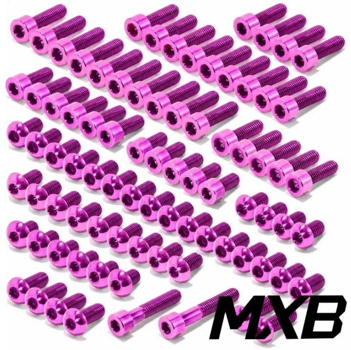 Surron Light Bee/Segway/Falcon/79 Bike Titanium Bolt Kit (COLLECTIVE)